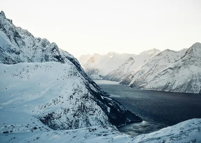 Unik Leilighet I Alesund Sentrum